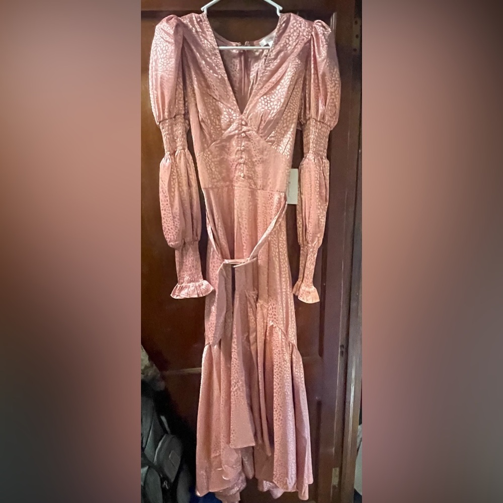 Rosevelvet maxi dress